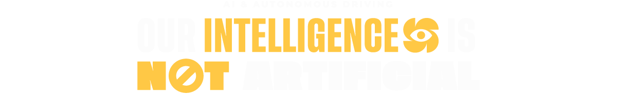 Our Intelligence is Not Artificial